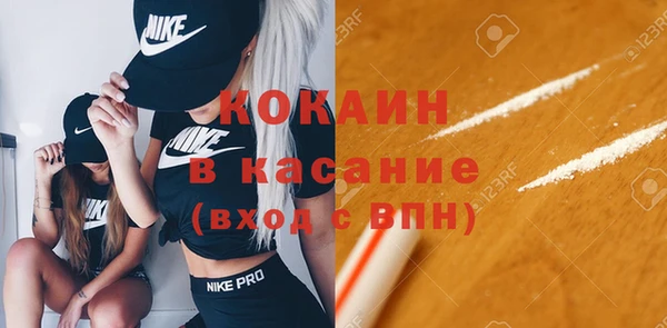индика Вяземский