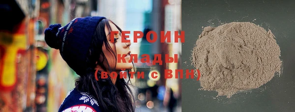 индика Вяземский