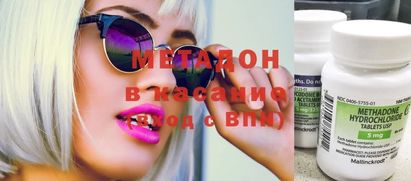 индика Вяземский