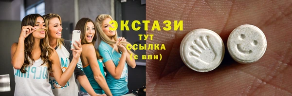 индика Вяземский