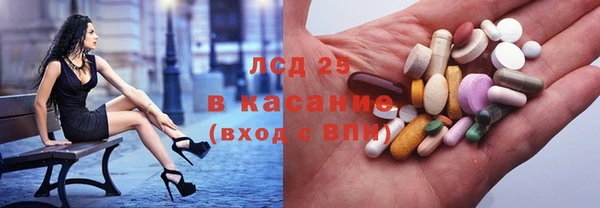 индика Вяземский