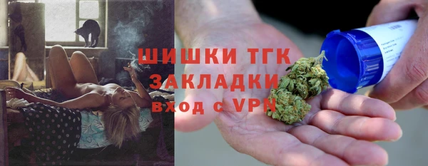 индика Вяземский