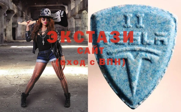 индика Вяземский