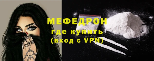 индика Вяземский
