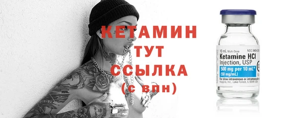 индика Вяземский