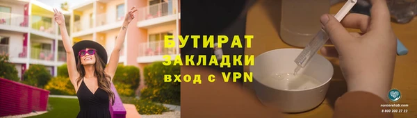 индика Вяземский