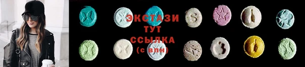 индика Вяземский