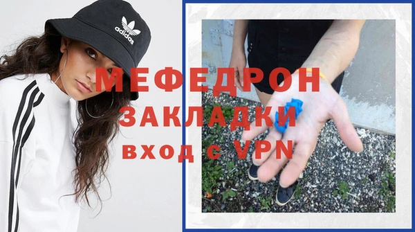 индика Вяземский
