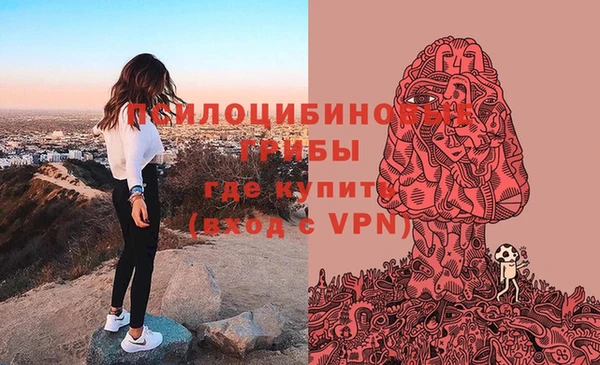 крисы Сосновый Бор