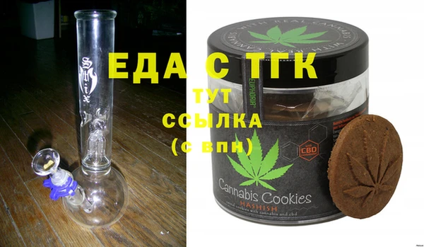 индика Вяземский