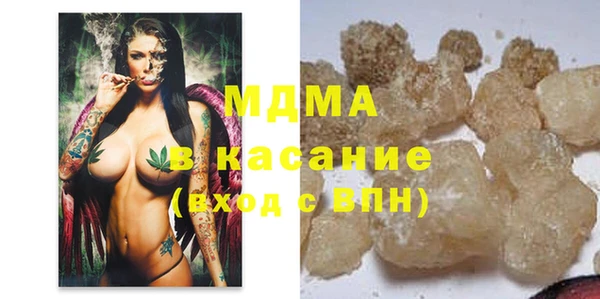 индика Вяземский