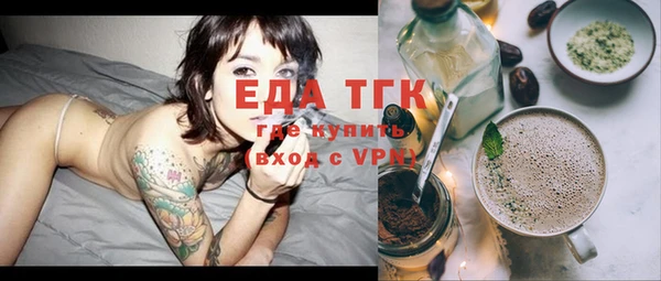 индика Вяземский