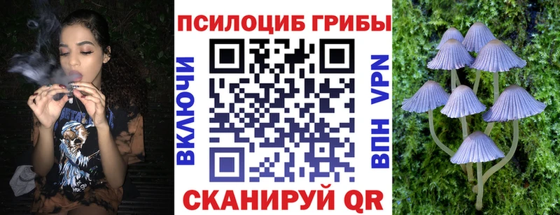 Галлюциногенные грибы Cubensis  купить наркотик  Печоры 